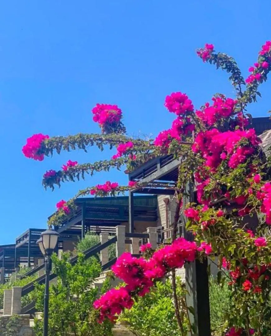 Διαμέρισμα Villa Santa Maria Vlorë